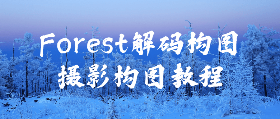 Forest解码构图摄影构图教程-游戏广场