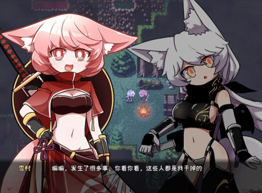 图片[2]-[PC-RPG游戏] 【ARPG/官中】暗影之狼 wolf of shadow V0.7.8.Beat 官方中文版【200M】【百度网盘】-ACG宝库