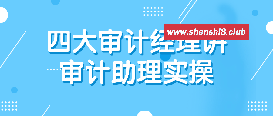 四大审计经理讲审计助理实操-游戏广场