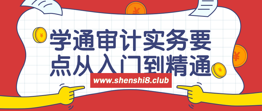 学通审计实务要点从入门到精通课-游戏广场