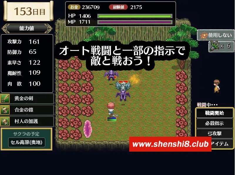 图片[3]-[PC-RPG游戏] 【RPG/机翻/新作】霧の遺跡と一人の剣士[A025891]【1.5G/度盘】-ACG宝库